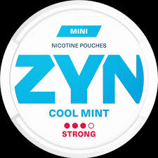 South African Zyn cool mint mini 6mg