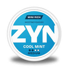 South African Zyn cool mint mini rich 3mg