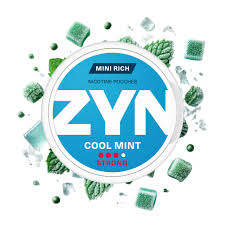 South African Zyn cool mint mini rich 6mg